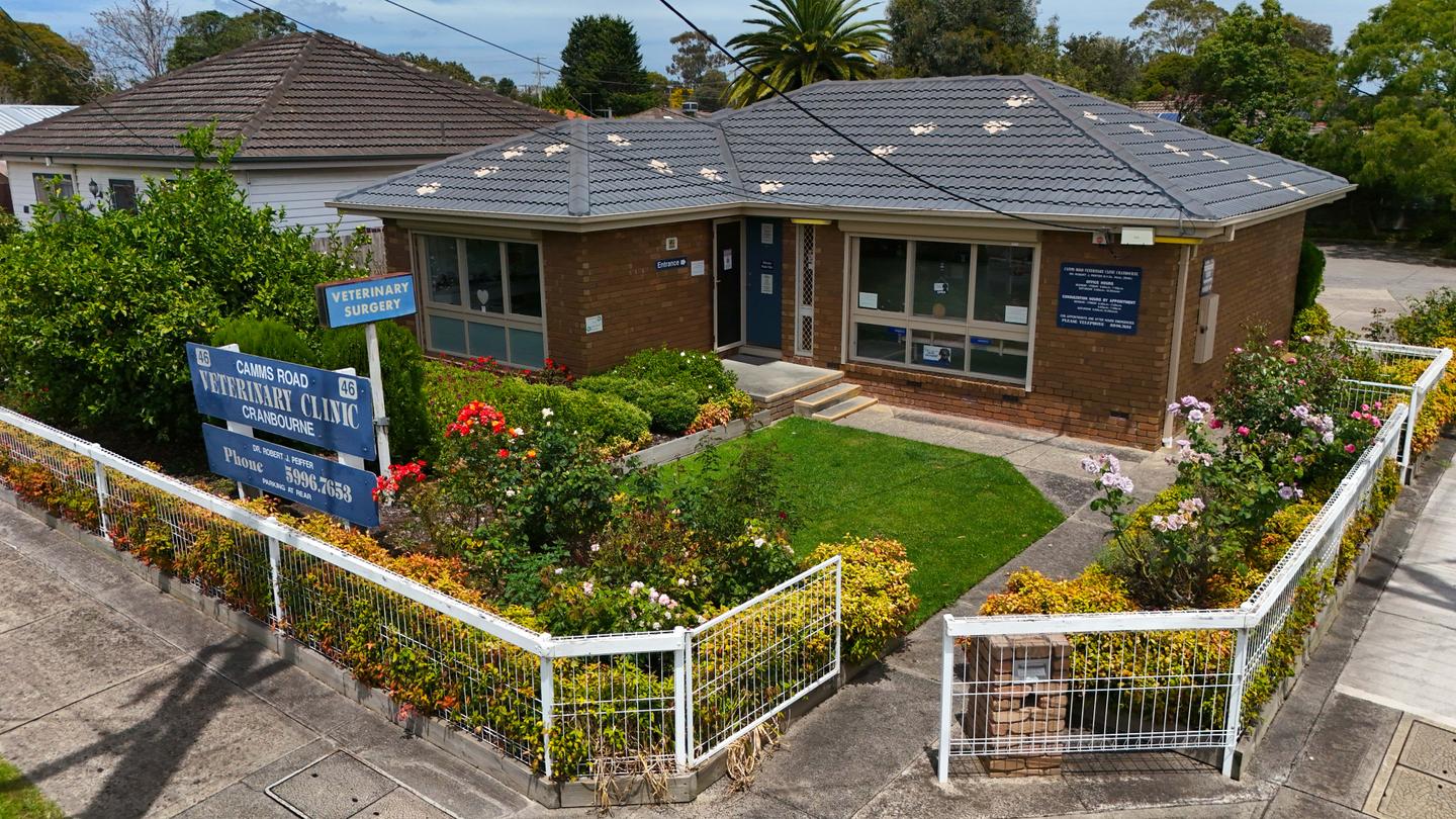 Street view of Camms Road Veterinary Clinic in Cranbourne, a brick building with a manicured garden and welcoming entrance