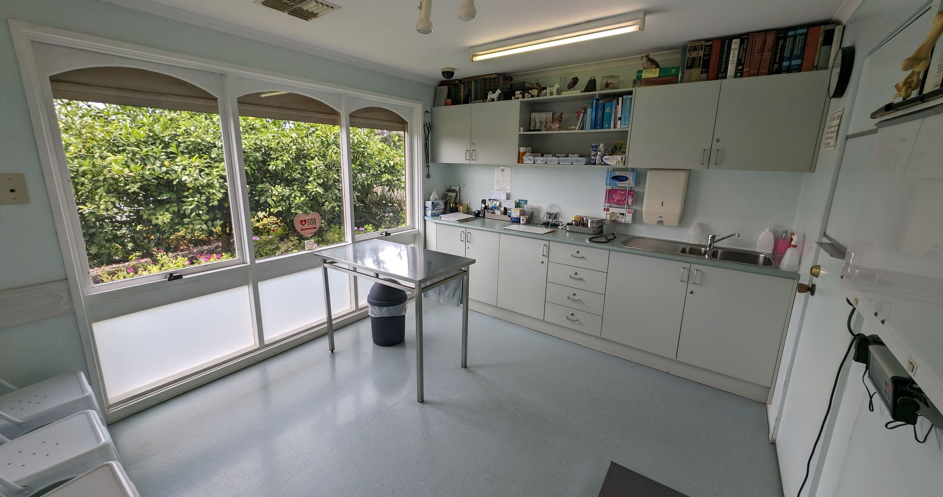 Bright, clean consultation room at Camms Road Veterinary Clinic, showing an examination table, organized cabinets, and ample natural light for patient comfort